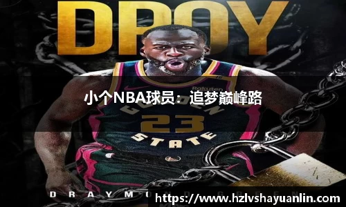 小个NBA球员：追梦巅峰路